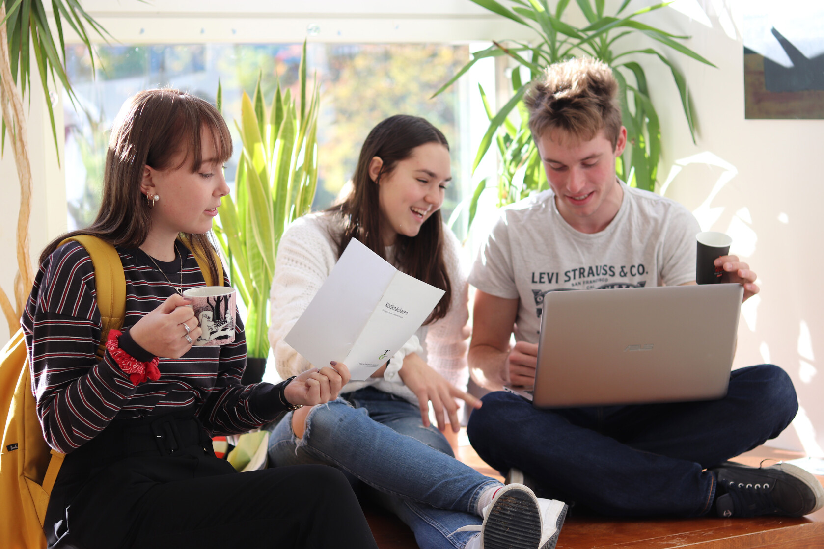 TG broschyr trappan v3