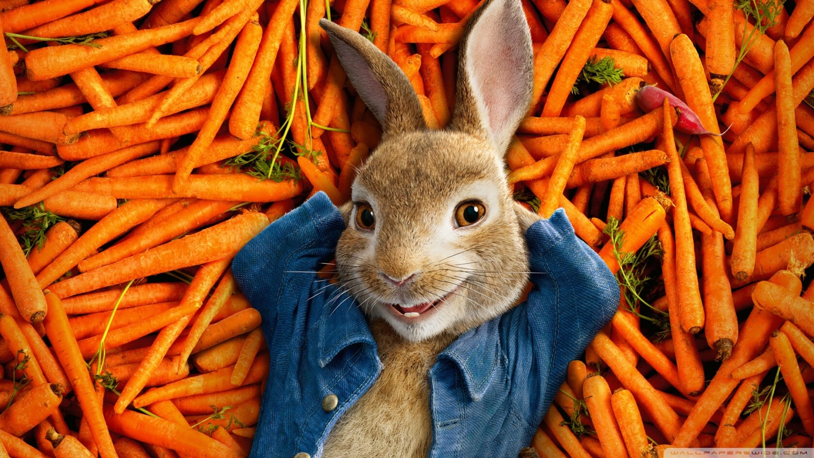 peter rabbit movie 2018 wallpaper 1920x1080